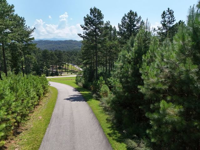 Lot 121 Stable Rise, Blairsville, GA 30512