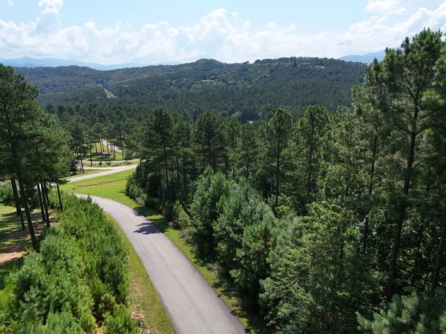 Lot 121 Stable Rise, Blairsville, GA 30512