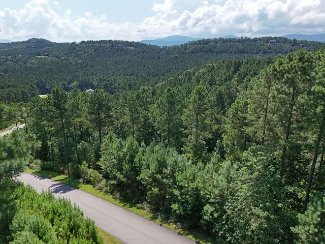 Lot 121 Stable Rise, Blairsville, GA 30512