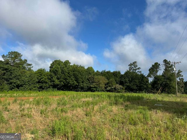 1229 Mark Wood Road, Dexter, GA 31019