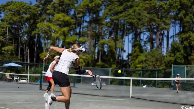 460 Ocean Creek Dr Apt 17, Myrtle Beach, SC 29572