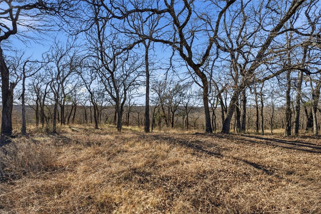 TBD Tokio Road, West, TX 76691