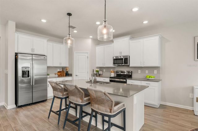 1919 PERCH HAMMOCK LOOP, Groveland, FL 34736
