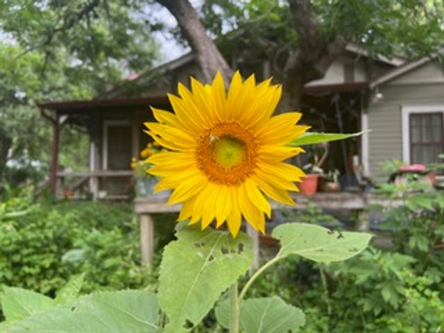 607 West Fox Street, Caldwell, TX 77836