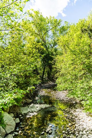 507 E TONALEA DR, Murray, UT 84107