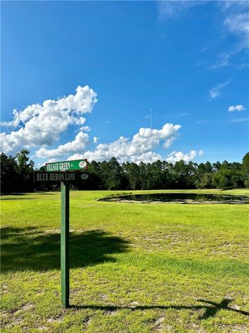 Lot 610 NE BLUE HERON Lane, Townsend, GA 31331