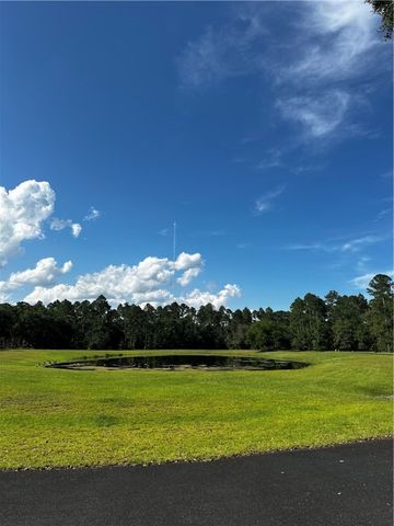 Lot 610 NE BLUE HERON Lane, Townsend, GA 31331