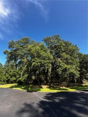 Lot 610 NE BLUE HERON Lane, Townsend, GA 31331