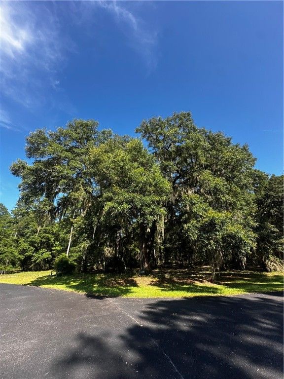 Lot 610 NE BLUE HERON Lane, Townsend, GA 31331