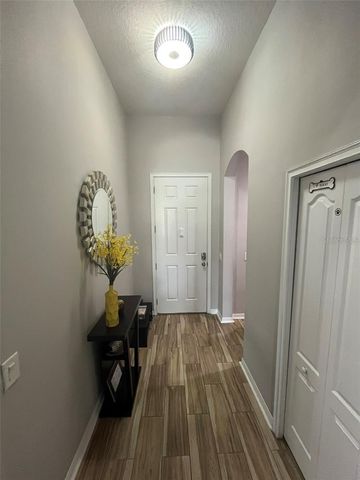 12007 RAMBLING STREAM DRIVE, Riverview, FL 33569