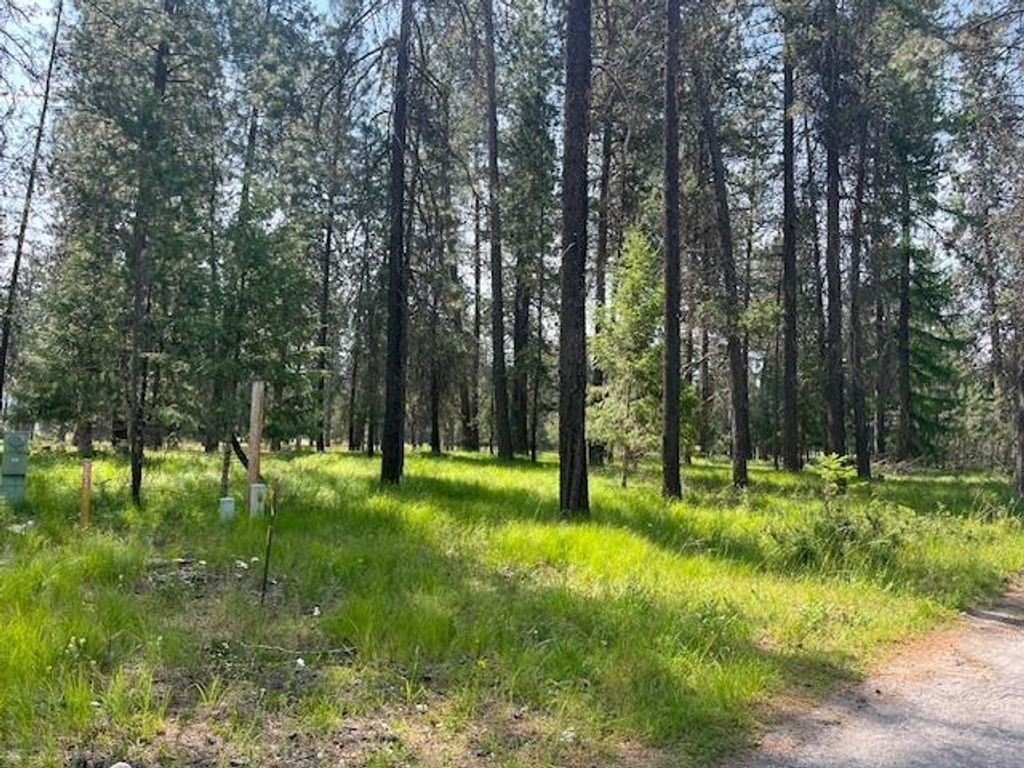 203 Eagle Dr, Chewelah, WA 99109 photo 2