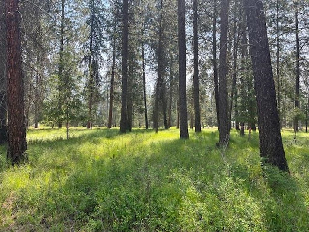 203 Eagle Dr, Chewelah, WA 99109 photo 3