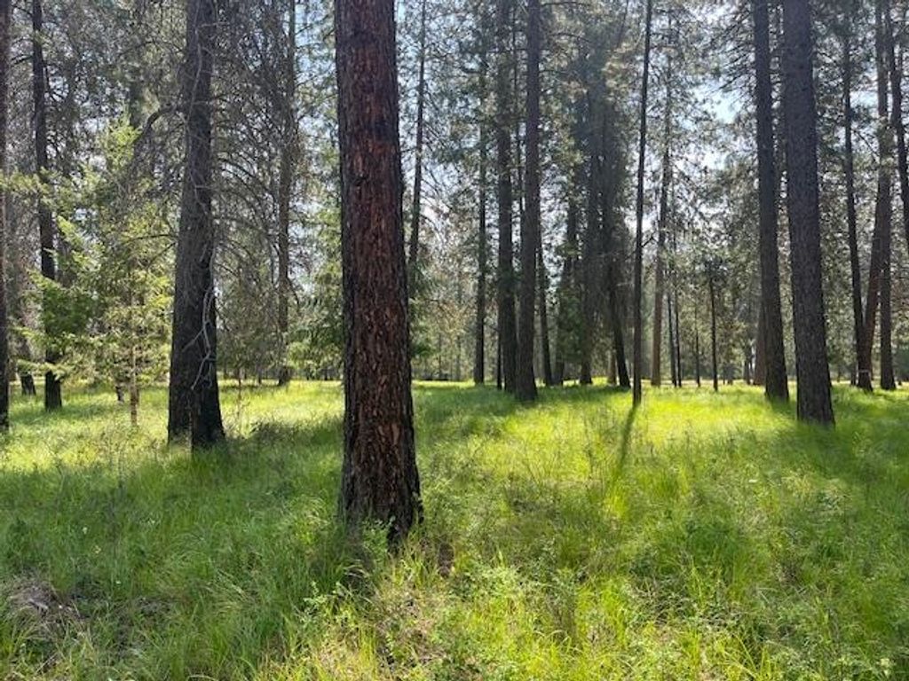 203 Eagle Dr, Chewelah, WA 99109 photo 4