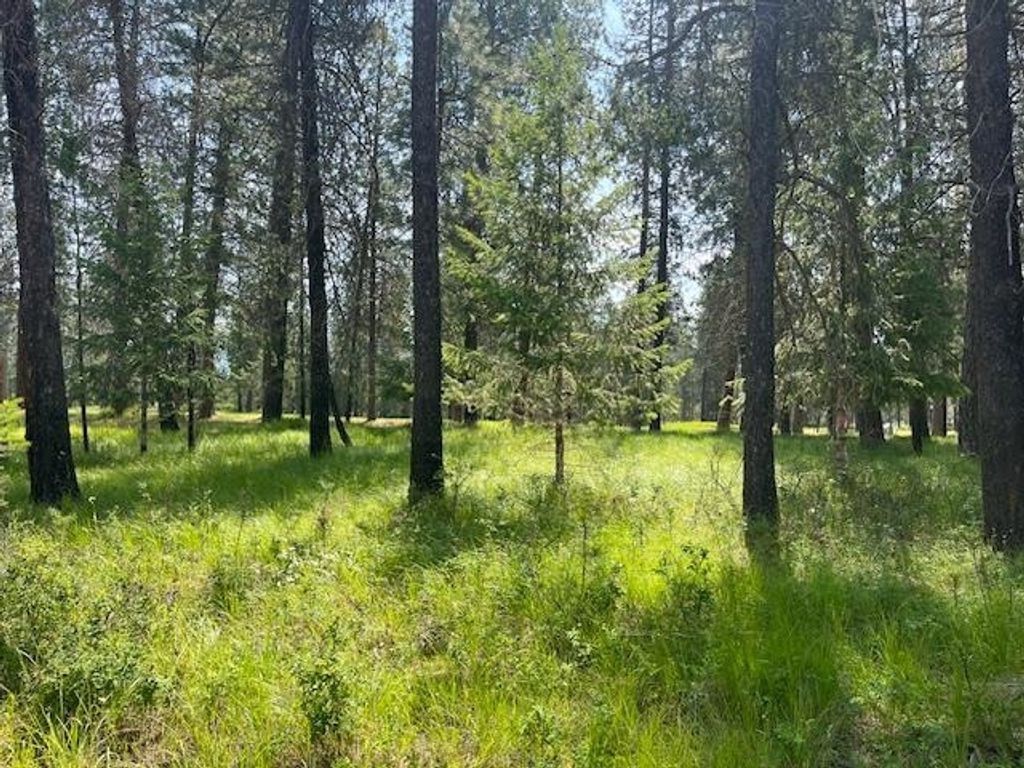 203 Eagle Dr, Chewelah, WA 99109 photo 5