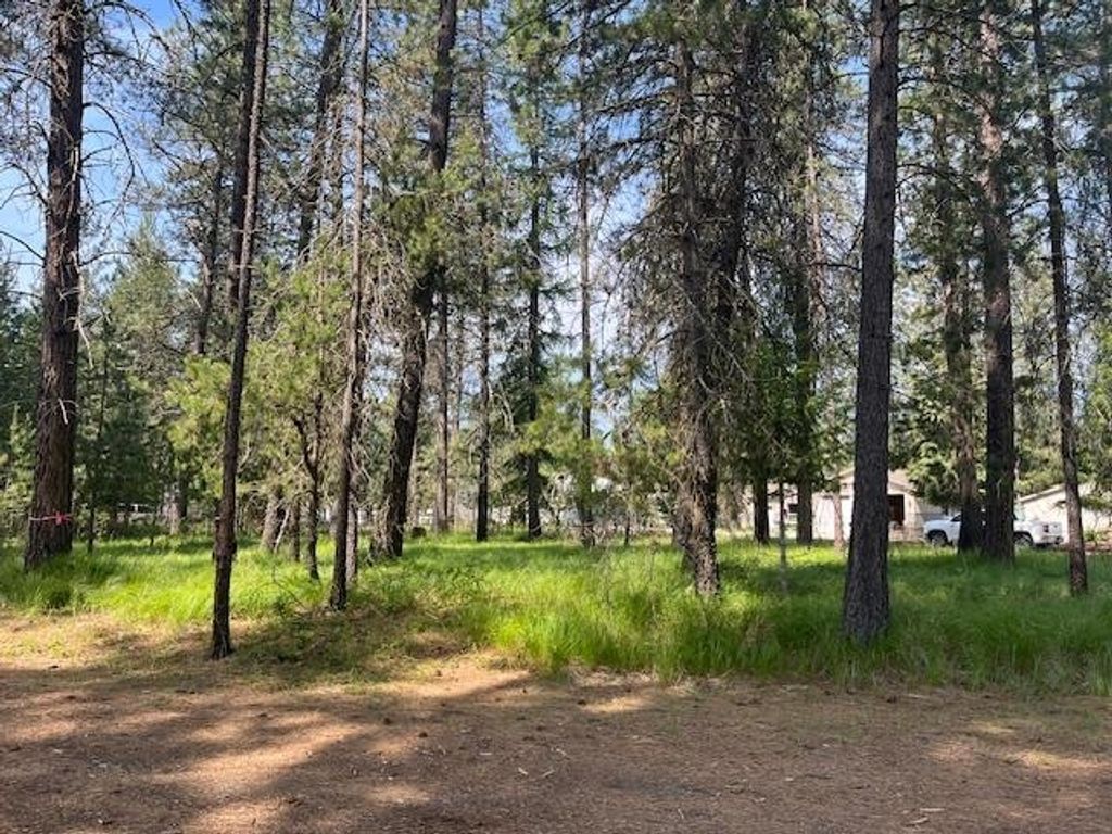 203 Eagle Dr, Chewelah, WA 99109 photo 7