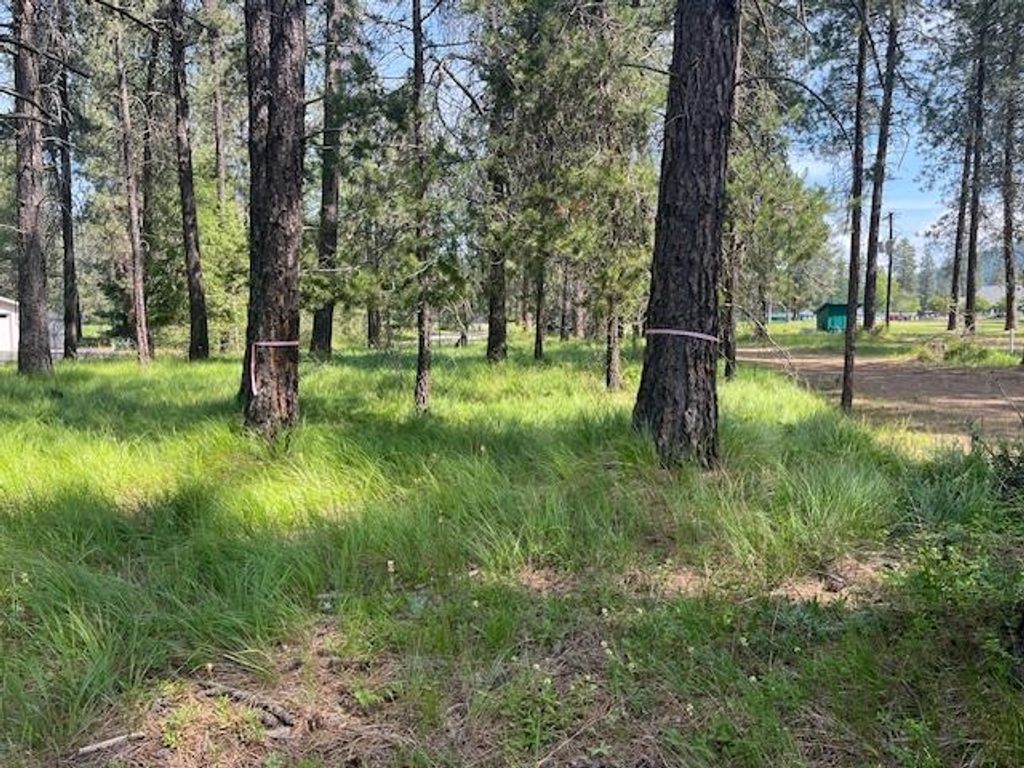 203 Eagle Dr, Chewelah, WA 99109 photo 8