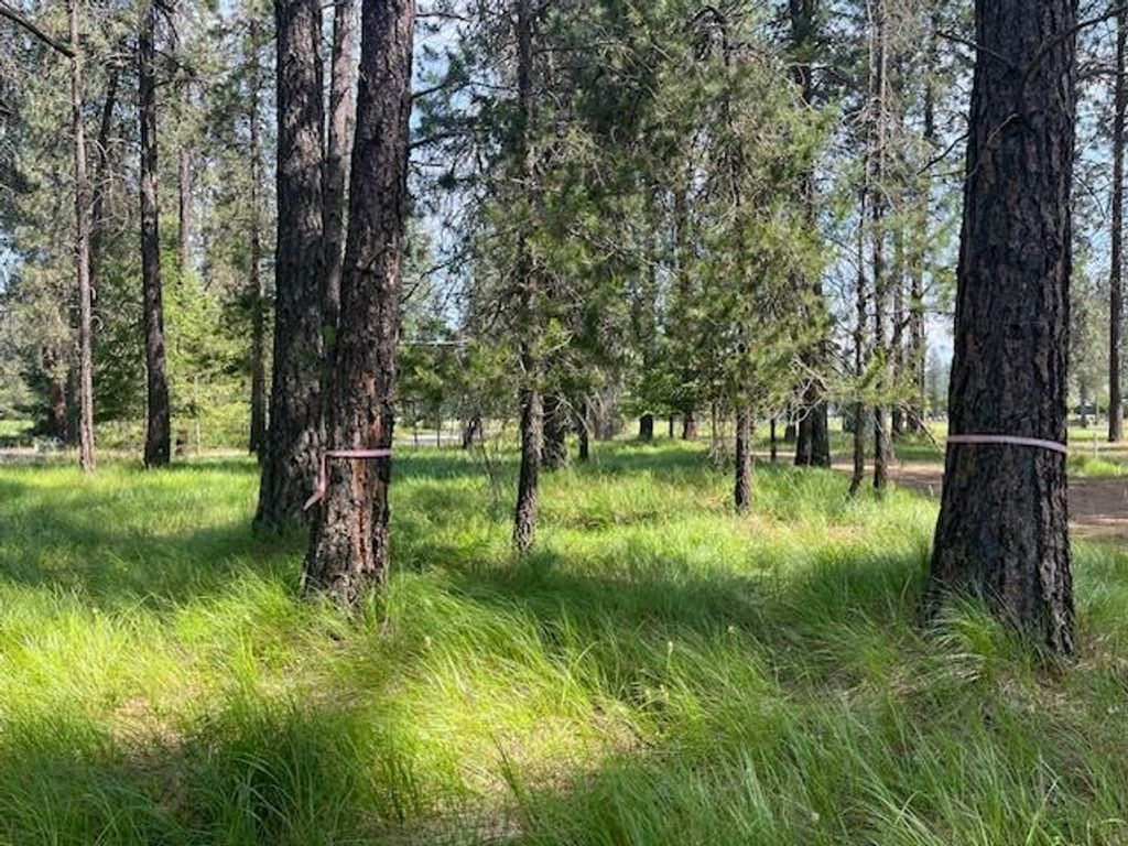 203 Eagle Dr, Chewelah, WA 99109 photo 9