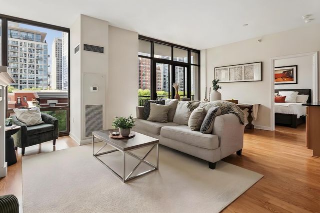 233 E 13th Street 510, Chicago, IL 60605