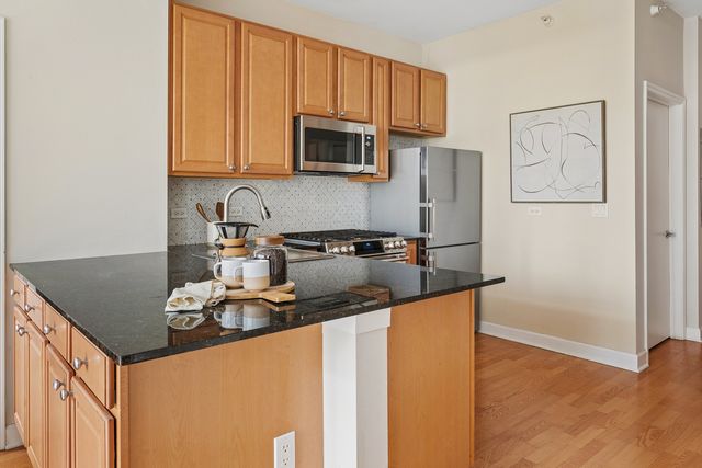 233 E 13th Street 510, Chicago, IL 60605