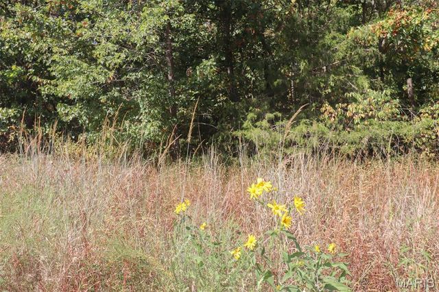 602 W 6th Street, Dixon, MO 65459