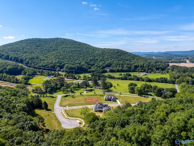 4602 Stone Mont Drive, Brownsboro, AL 35741