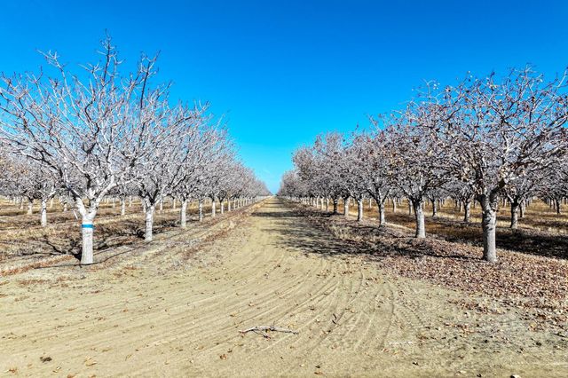 33751 W Adams Avenue, Mendota, CA 93640