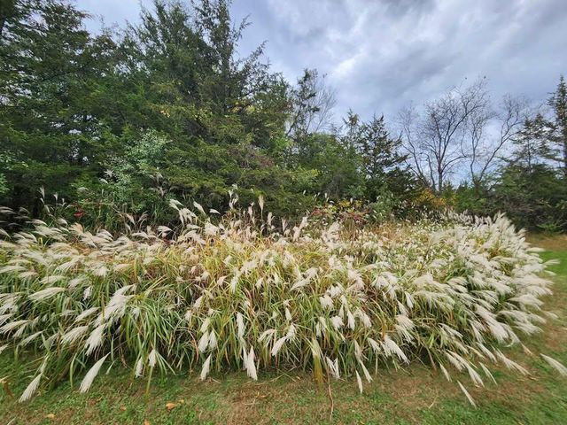 1072 Buck Ridge, Hudson, WI 54016