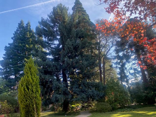 269 Selby Lane, Atherton, CA 94027