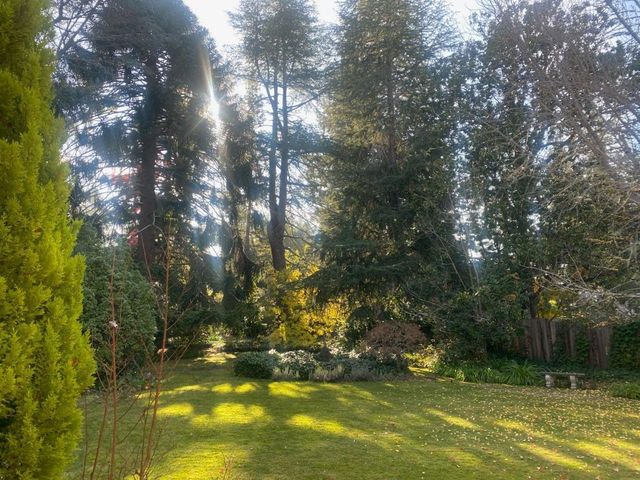 269 Selby Lane, Atherton, CA 94027