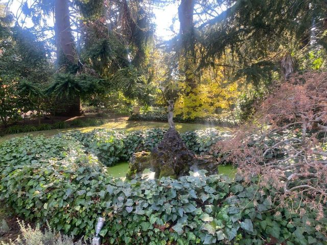 269 Selby Lane, Atherton, CA 94027