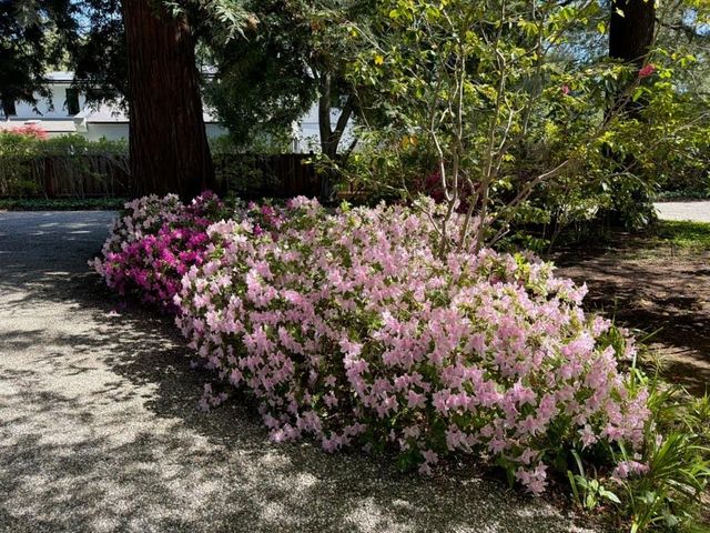 269 Selby Lane, Atherton, CA 94027