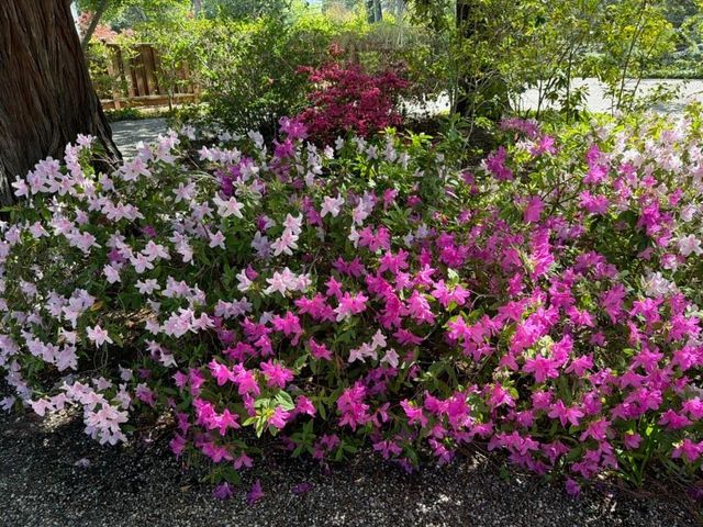 269 Selby Lane, Atherton, CA 94027