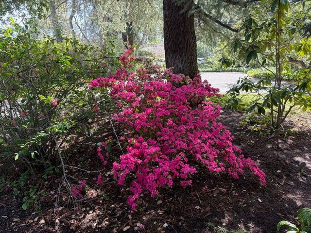 269 Selby Lane, Atherton, CA 94027