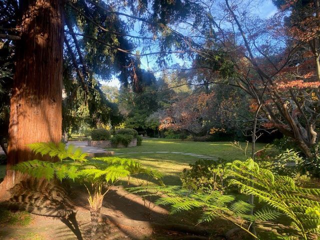 269 Selby Lane, Atherton, CA 94027