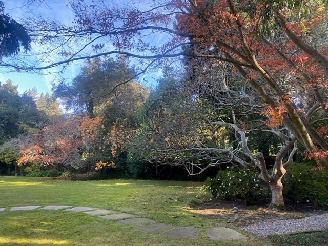 269 Selby Lane, Atherton, CA 94027