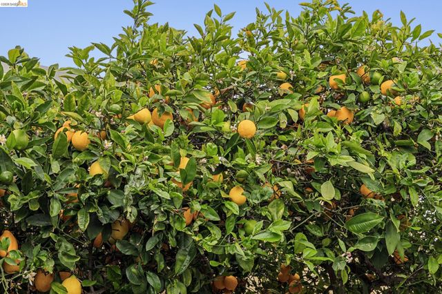 1920 Bradhoff Ave, San Leandro, CA 94577