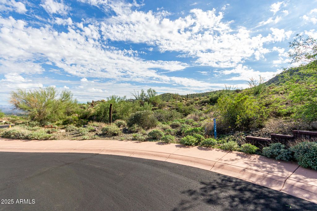 14235 E LONE WOLF Trail 114, Fountain Hills, AZ 85268 — photo 3