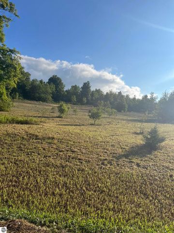 9261 Kingsfield Drive, Kingsley, MI 49649