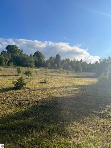 9261 Kingsfield Drive, Kingsley, MI 49649