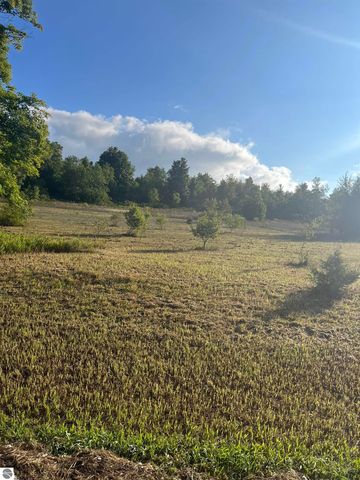 9261 Kingsfield Drive, Kingsley, MI 49649