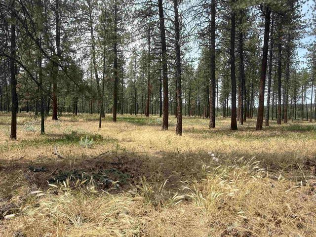 7321 W Kendick Ave, Nine Mile Falls, WA 99026