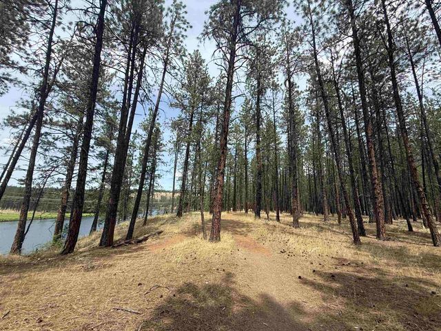 7321 W Kendick Ave, Nine Mile Falls, WA 99026