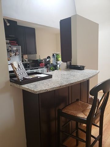1653 N Halsted Street CH, Chicago, IL 60614