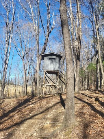 259 TALIAFERRO DR, Churchville, VA 24421