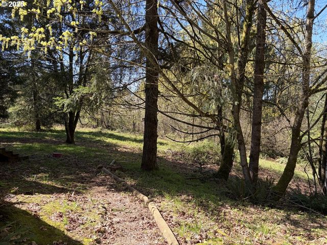 31520 Ne 74TH Ave, La Center, WA 98629