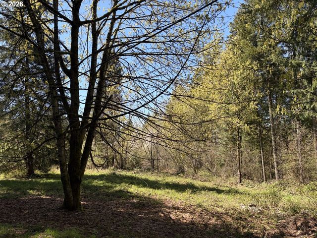 31520 Ne 74TH Ave, La Center, WA 98629