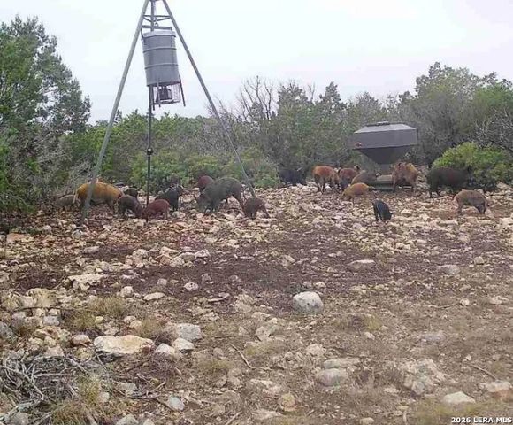 000 No Name, Rocksprings, TX 78880