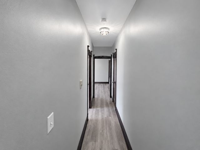 6362 S Greenwood Avenue 3, Chicago, IL 60637