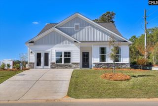 342 Chapin Place Way, Chapin, SC 29036