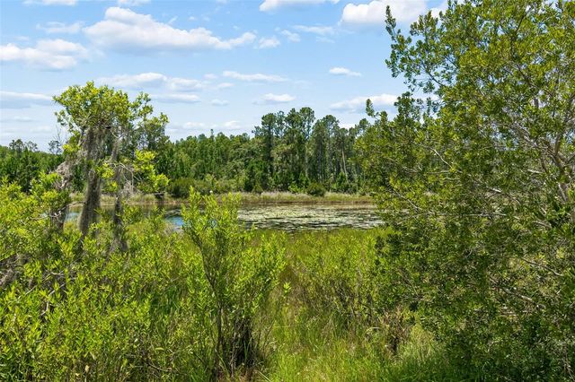 7629 BROAD RIVER AVENUE, Land O Lakes, FL 34638